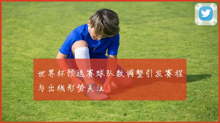 世界杯预选赛球队数调整引发赛程与出线形势关注