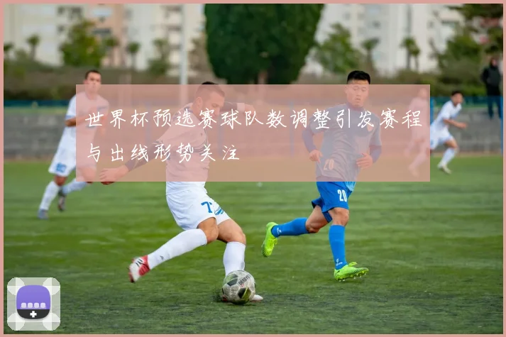 世界杯预选赛球队数调整引发赛程与出线形势关注
